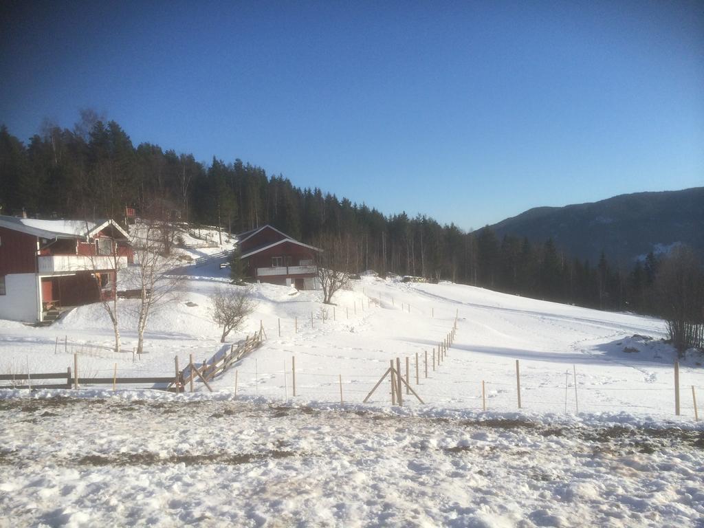 Asgardane Gjestegard Gol Exterior photo